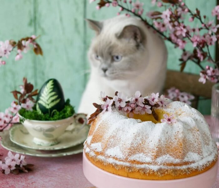 Babka piaskowa